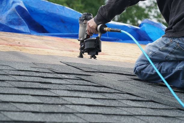 Best Roof Moss and Algae Removal  in Mitchellville, IA